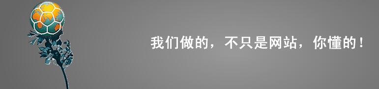 我們做的不只是網(wǎng)站，你懂得