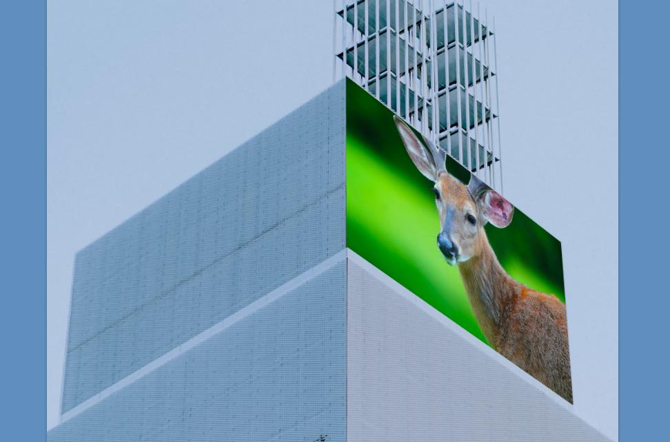 1712559650139388.jpg 1712559650139388.jpg